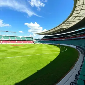 novo gramado do Morumbi