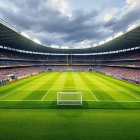 troca de gramado Morumbi